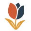 Dutch Fluency Logo